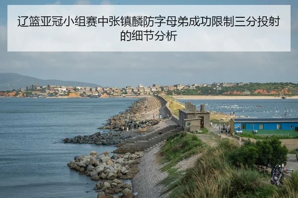 liao-lan-ya-guan-xiao-zu-sai-zhong-zhang-zhen-lin-fang-zi-mu-di-cheng-gong-xian-zhi-san-fen-tou-she-de-xi-jie-fen-xi-2-466.jpg