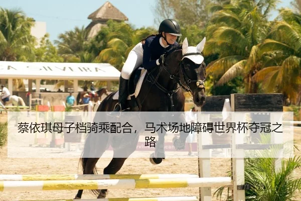 cai-yi-qi-mu-zi-dang-qi-cheng-pei-he-ma-shu-chang-di-zhang-ai-shi-jie-bei-duo-guan-zhi-lu-3-495.jpg