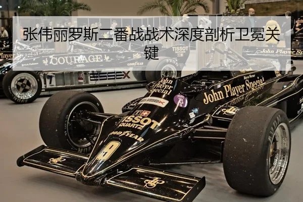 张伟丽罗斯二番战战术深度剖析卫冕关键